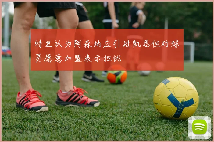 特里认为阿森纳应引进凯恩但对球员愿意加盟表示担忧