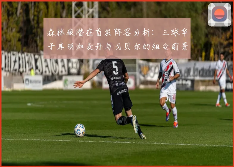 森林狼潜在首发阵容分析：三球华子库明加麦丹与戈贝尔的组合前景如何