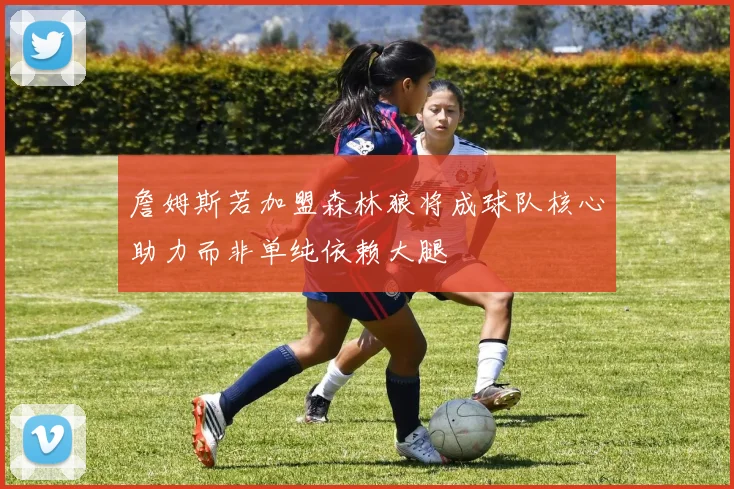 詹姆斯若加盟森林狼将成球队核心助力而非单纯依赖大腿