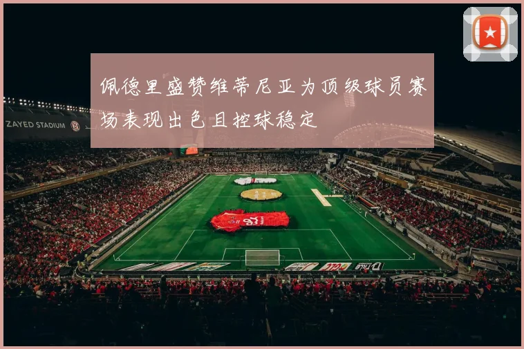 佩德里盛赞维蒂尼亚为顶级球员赛场表现出色且控球稳定